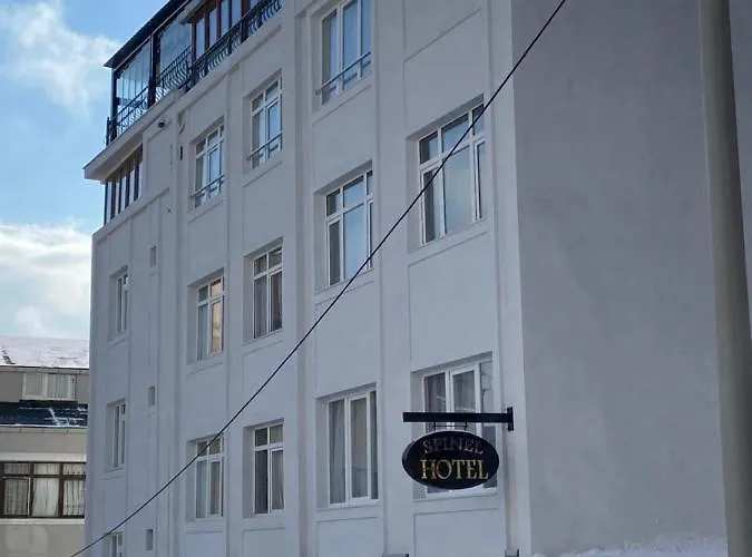 Spinel - Old 3* Стамбул