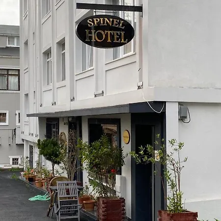 酒店 斯皮耐尔酒店 3*