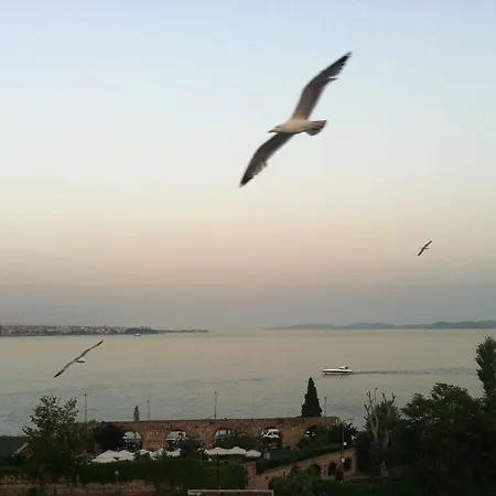 Hotell Spinel - Old 3*